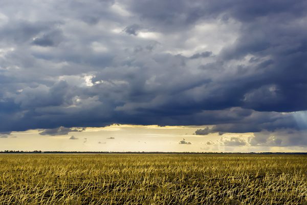 Why are balloon flights canceled due to bad weather? proballooning-61